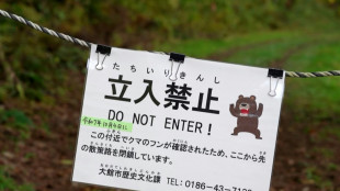 "Así es como voy a morir": los ataques de osos aterrorizan Japón