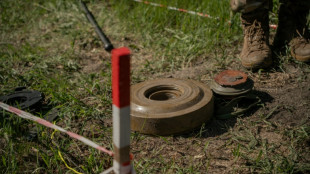 Desminar Ucrania, entre rastrillos y drones