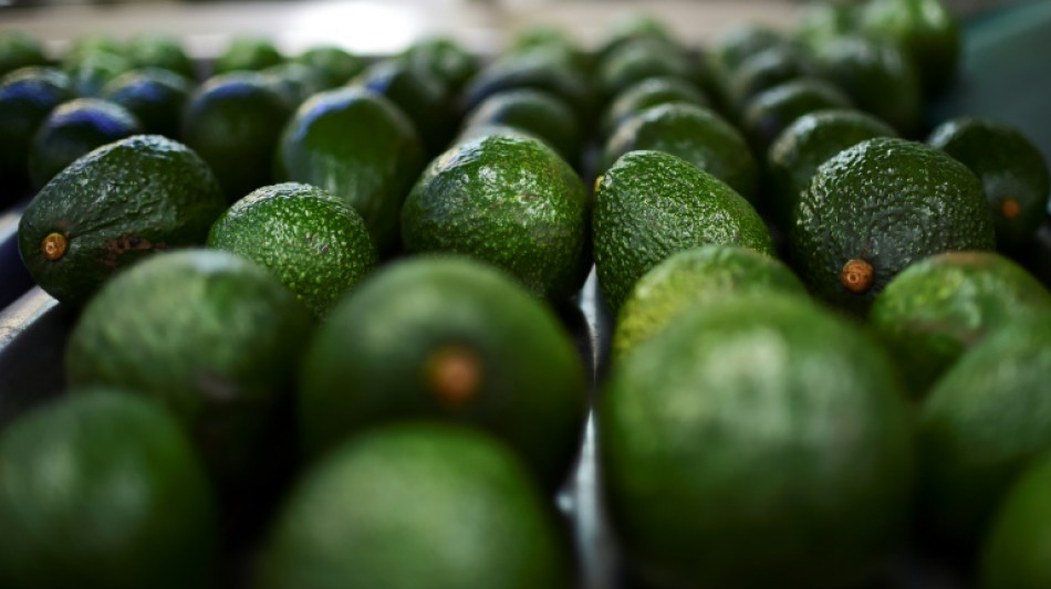 Avocado-Importe haben sich innerhalb von zehn Jahren verf&uuml;nffacht