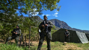 'Fracasso' da paz na Col&ocirc;mbia aumenta desmatamento (ONG)