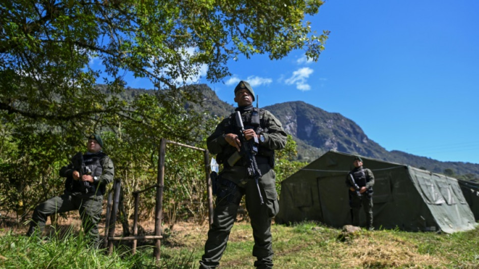 Desmatamento na Col&ocirc;mbia aumenta com 'fracasso' das negocia&ccedil;&otilde;es com dissid&ecirc;ncias das Farc, diz ONG