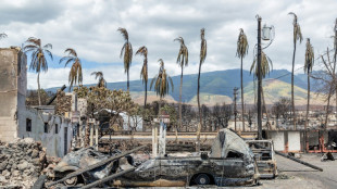 Biden visitar&aacute; Haw&aacute;i donde incendios dejan m&aacute;s de un centenar de muertos