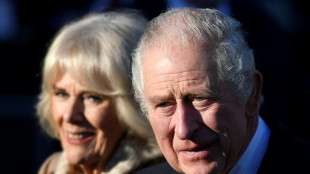 Carlos III y Camila viajar&aacute;n a Francia y Alemania en sus primeras visitas de Estado