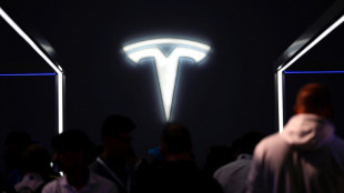 Nach Lohnerh&ouml;hungen bei Tesla: IG Metall fordert Tarifvertrag