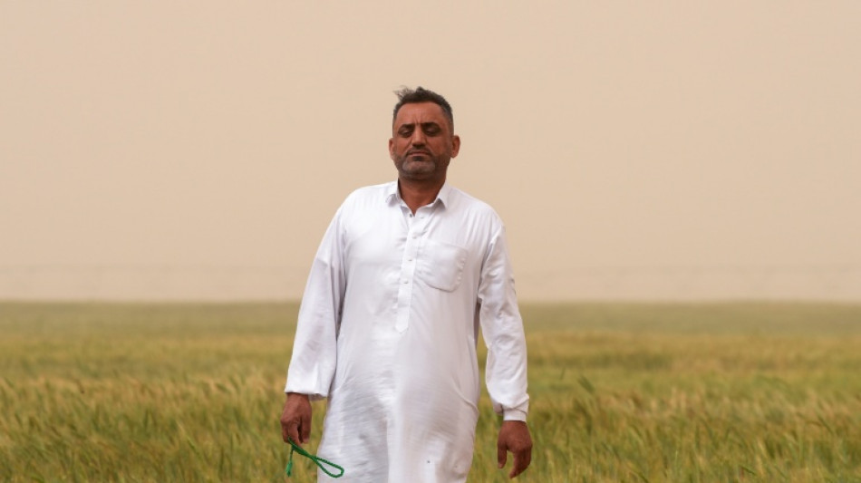 Iraq farmers turn to groundwater to boost desert yield