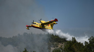 Grecia combate el incendio "m&aacute;s grande jam&aacute;s registrado en la UE"
