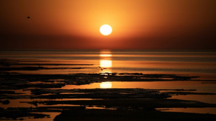 Overshooting 1.5C climate target 'inevitable': UN chief