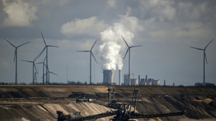 Umwelt- und Entwicklungsverb&auml;nde verlangen von G7 Kurskorrektur bei Klimapolitik