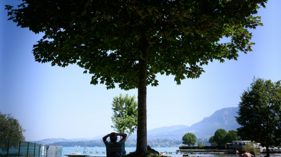 Ola de calor enciende las alarmas en el sur de Francia