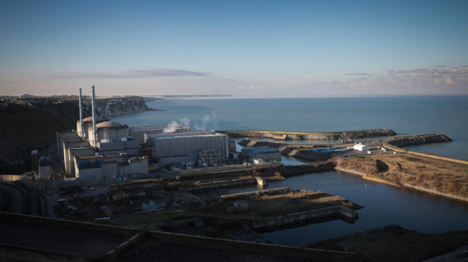 Le gouvernement acte la relance de la fili&egrave;re nucl&eacute;aire en France