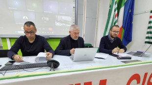 'Peggiora la produzione Stellantis, mai cos&igrave; bassa dal 1956'
