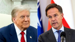 El jefe de la OTAN se reuni&oacute; con Donald Trump en EEUU
