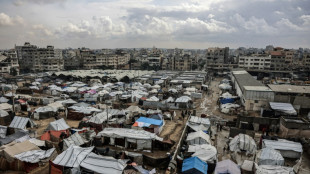 Positives Echo auf grünes Licht für Trumps Gaza-Friedensplan im UN-Sicherheitsrat