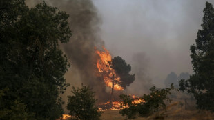 Muere en Portugal un bombero que combat&iacute;a los incendios, cuarta v&iacute;ctima en el pa&iacute;s
