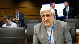 Ir&aacute;n acepta una mayor supervisi&oacute;n por parte del Organismo Internacional de Energ&iacute;a At&oacute;mica 