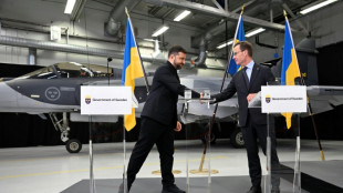 Zelensky seeks 150 Swedish fighter jets as Russia pummels Ukraine
