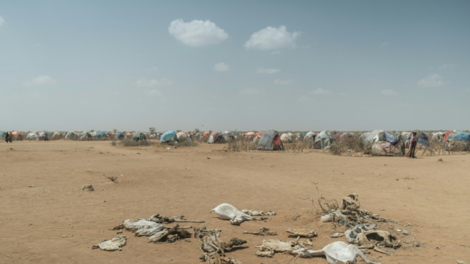 UN-Konferenz gegen W&uuml;stenbildung vereinbart beschleunigte Anstrengungen