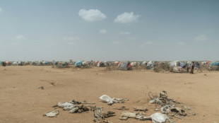 UN-Konferenz gegen W&uuml;stenbildung vereinbart beschleunigte Anstrengungen