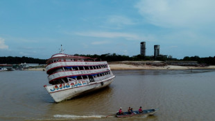 Sequ&iacute;a mata m&aacute;s de 150 delfines en Amazon&iacute;a brasile&ntilde;a, seg&uacute;n investigadores