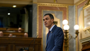 En Sevilla, los socialistas espa&ntilde;oles cierran filas en torno a Pedro S&aacute;nchez
