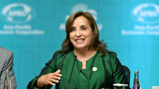 Una cirug&iacute;a de nariz amenaza la presidencia de Dina Boluarte en Per&uacute;