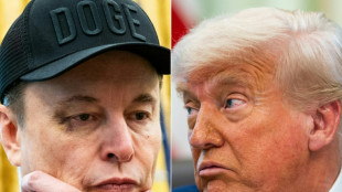 Alian&ccedil;a Trump-Musk implode ap&oacute;s discuss&atilde;o 