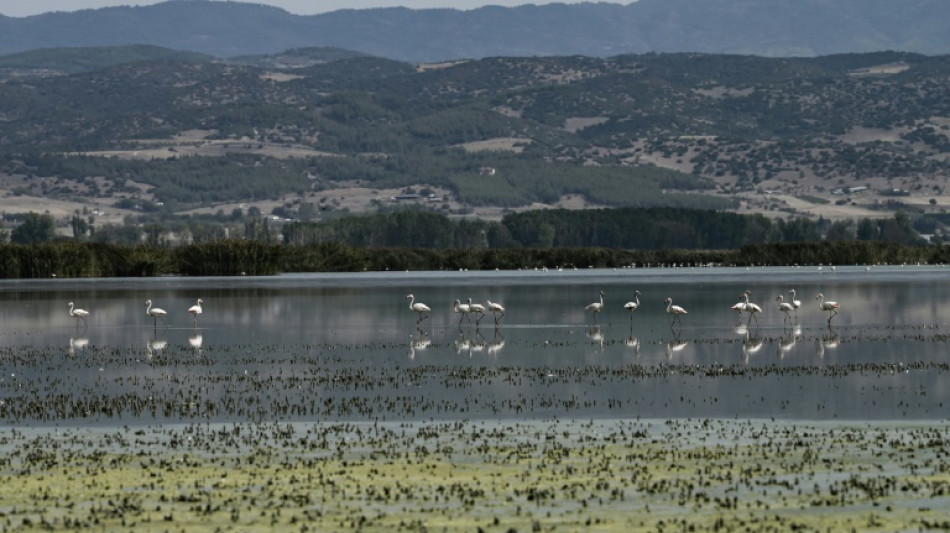 Dans le nord de la Gr&egrave;ce, la puanteur et l'inqui&eacute;tude autour des lacs ass&eacute;ch&eacute;s
