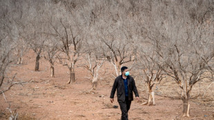 Maroc: une s&eacute;cheresse in&eacute;dite fait craindre une p&eacute;nurie d'eau potable
