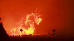 Wildfires tear through western US during heatwave