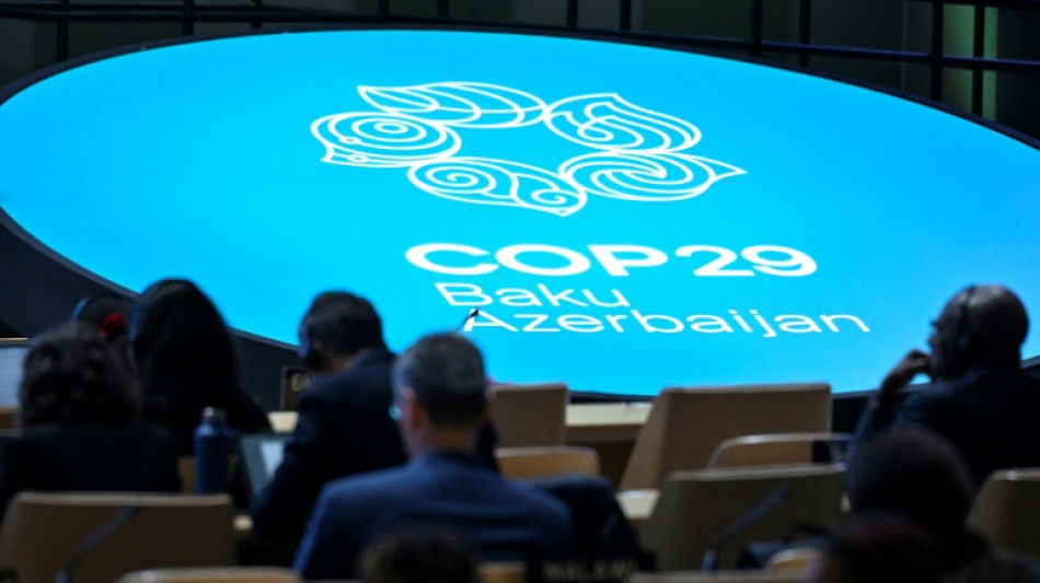 Climat: l'heure de v&eacute;rit&eacute; &agrave; Bakou pour l'accord financier pour les pays pauvres