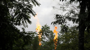 Equateur: la fin de l'extraction p&eacute;troli&egrave;re dans une r&eacute;serve naturelle prendra au moins 5 ans 