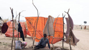 Soudan: efforts pour un cessez-le-feu avant que la guerre ne soit "incontr&ocirc;lable" 