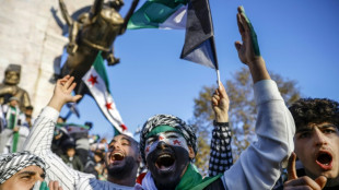 Sirios dentro y fuera del pa&iacute;s celebran la ca&iacute;da de Al Asad con la "sensaci&oacute;n de renacer"