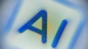 Un robot dop&eacute; &agrave; l'intelligence artificielle, nouvel eldorado des entreprises fran&ccedil;aises