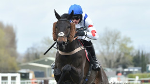 Nicholls three-handed in pursuit of 13th King George