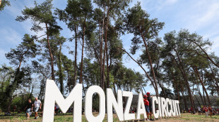 Da Sinner a Elkann aspettando Tomba, &egrave; parata di vip a Monza