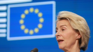Von der Leyen il 17 gennaio in Paraguay per firmare sul Mercosur