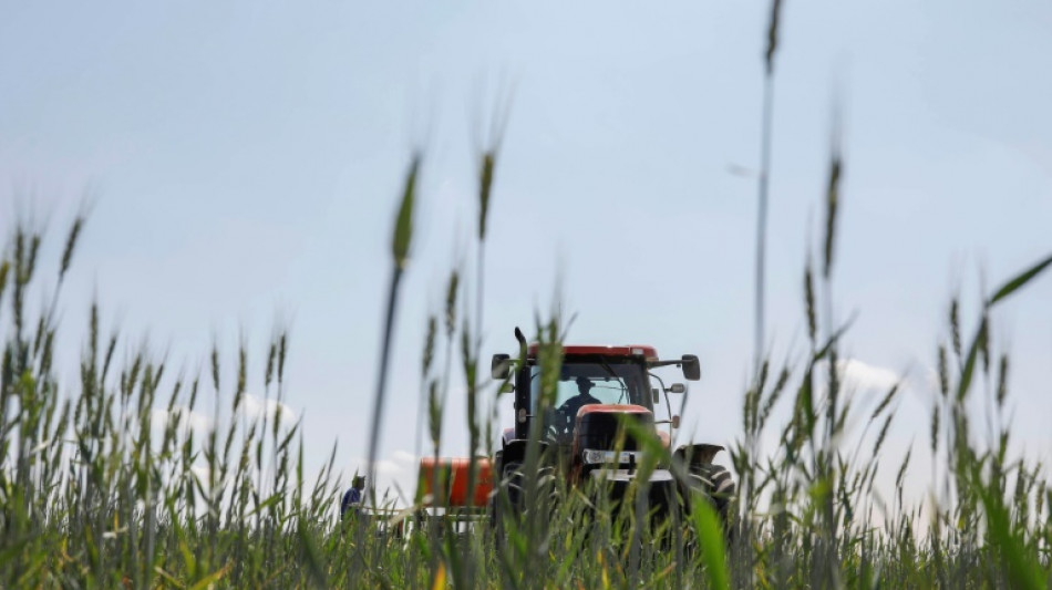 Einkommen von Landwirten nach Rekordjahr wieder gesunken