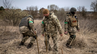 Ucrania prev&eacute; d&eacute;cadas para desminar su territorio