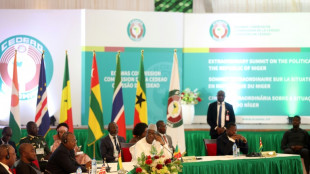 ECOWAS backs military 'standby' force for Niger