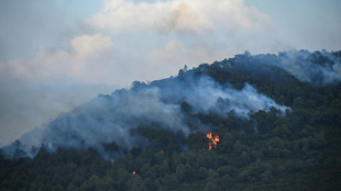 &Agrave; Fontainebleau, une IA sobre en &eacute;nergie s'entra&icirc;ne &agrave; d&eacute;tecter les feux de for&ecirc;t