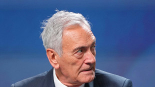 "Inakzeptable Schande": Italiens Verbandschef unter Druck