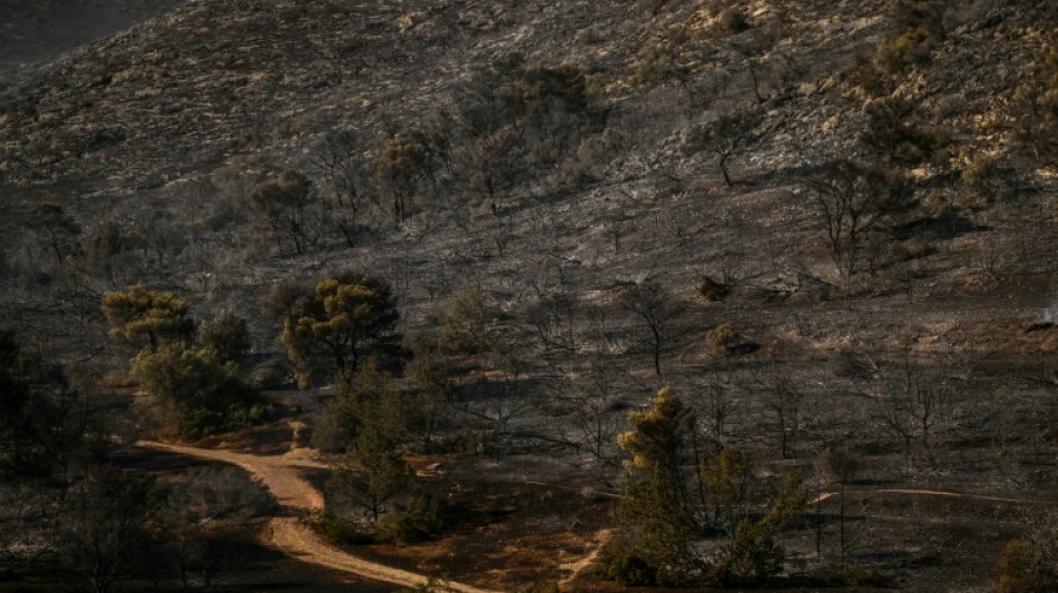 Les Grecs découvrent les dégâts du feu à une heure d'Athènes