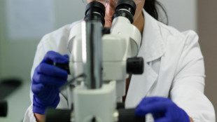 Cervello, scoperto il 'freno' che pu&ograve; bloccare il dolore cronico