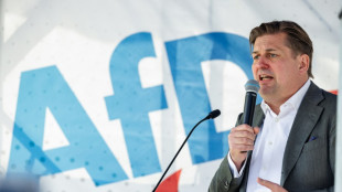 Grandes empresas alem&atilde;s criam alian&ccedil;a para entrar em campanha contra extrema direita