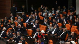 Turqu&iacute;a prepara una ley sobre "agentes de influencia" 