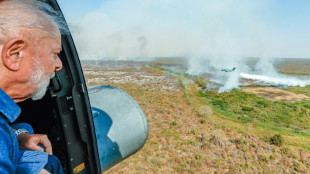 Una ONG vincula a grandes frigor&iacute;ficos con la "destrucci&oacute;n qu&iacute;mica" del Pantanal brasile&ntilde;o