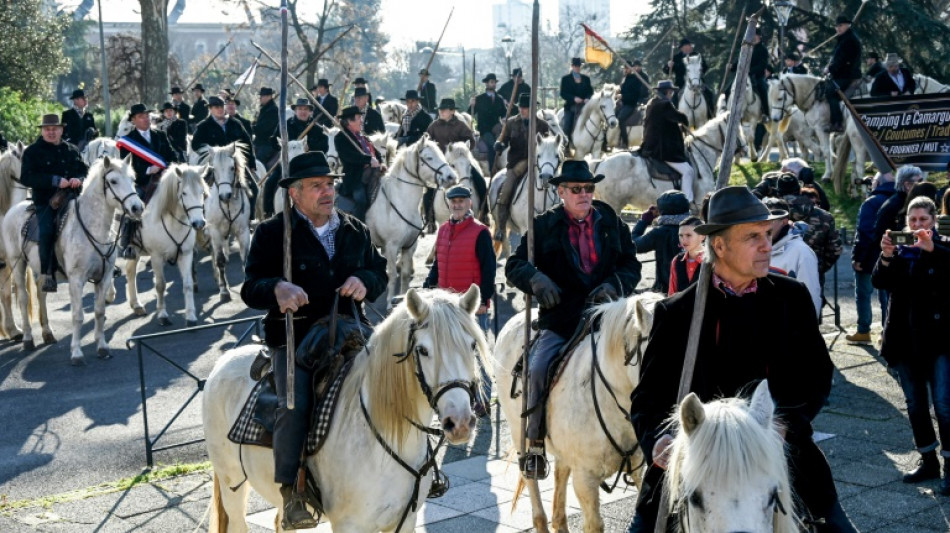 Les mondes de la tauromachie et de la "ruralit&eacute;" unis contre les "&eacute;colos bobos" &agrave; Montpellier