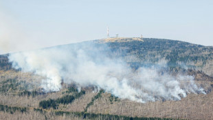 Trockenheit und Hitze durch Klimakrise: WWF warnt vor eskalierenden Waldbränden
