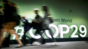 Vertreter der &Ouml;lindustrie bei UN-Klimakonferenz in Aserbaidschan